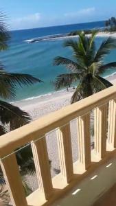 a view of a beach with a palm tree and the ocean at Dre Broeders Apartments Juan Dolio in Juan Dolio