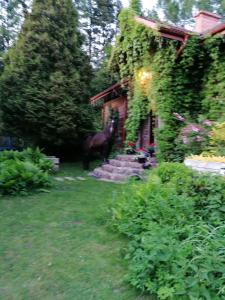 Fotografie z fotogalerie ubytování Dom Wakacyjny Leśniczówka Kryńszczak v destinaci Łuków