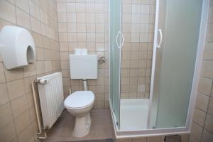 a small bathroom with a toilet and a shower at Restoran i sobe Venezia in Hrvace