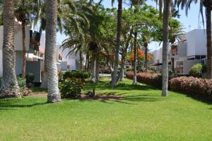 Fotografie z fotogalerie ubytování Casa Naranja v destinaci Costa Del Silencio