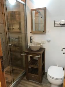 uma casa de banho com um lavatório, um chuveiro e um WC. em Casa Laura Dto 1 em San Carlos de Bariloche
