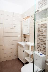 a bathroom with a sink and a mirror and a toilet at Eleana apartments and studios in Agios Georgios Pagon