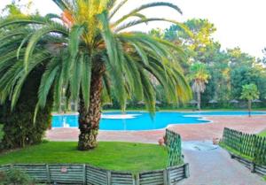 Gallery image of Apartamento Golf Resort in Charneca