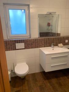 a bathroom with a toilet and a sink and a window at Charming 2-Bed Apartment in Arlesheim 15 min Basel in Arlesheim