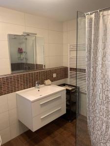 Charming 2-Bed Apartment in Arlesheim 15 min Basel tesisinde bir banyo