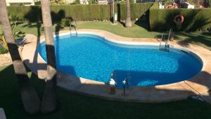 een uitzicht over een zwembad met palmbomen bij Villa delgado in La Marina de la Torre