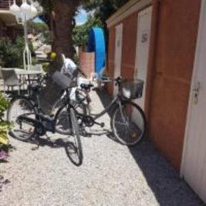 Jazda na bicykli v okolí ubytovania Lovely Sea view Apartment in Gava