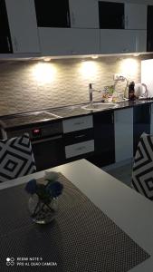 Eldhús eða eldhúskrókur á Apartman SILVER