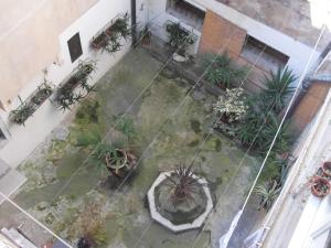 A garden outside Ali