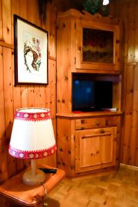 a living room with a television and a lamp at TRE CIME FOCOBON - Bellavista sulle Dolomiti in Falcade