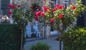 Zahrada ubytování B&B De Watering