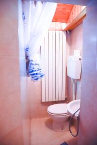 a bathroom with a toilet and a window at COL DE RIF Piccolo Appartamento Storico Dolomiti in Falcade