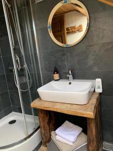 a bathroom with a sink and a shower and a mirror at Chalet Ro in Peştera