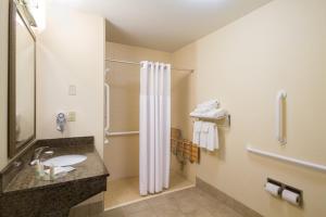 Koupelna v ubytování Staybridge Suites Buffalo by IHG