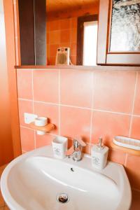 Phòng tắm tại La casa del Ghiro - PARCO DOLOMITI BELLUNESI