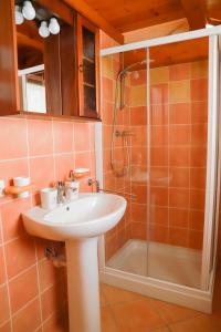 Phòng tắm tại La casa del Ghiro - PARCO DOLOMITI BELLUNESI +19 ảnh