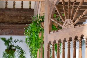a wooden staircase with a green plant on it at Casa Emblemática Don Gabriel in Santa Cruz de la Palma