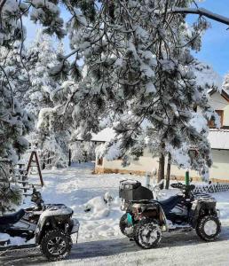 Apartmani kod Pančevca v zimě
