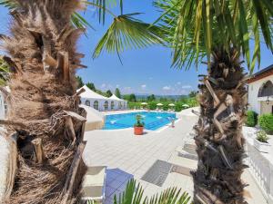 vista sulla piscina del resort con due palme di Villa Serena Agriturismo a Montebelluna