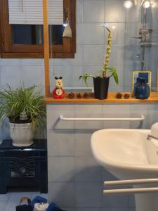 a bathroom with a sink and plants on a counter at A l'Ecole Buissonnière, chambre d'hôtes en Sidobre in Lacrouzette