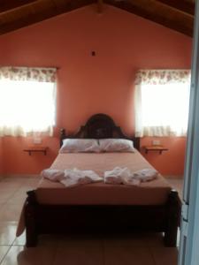 een slaapkamer met een bed met oranje muren en ramen bij Hostería La casa Bonita in Corrientes +14 foto's