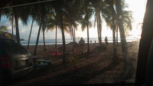uma vista para uma praia com palmeiras e para o oceano em CHEZ NOUS em Puerto Carrillo