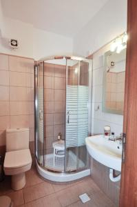 e bagno con doccia, servizi igienici e lavandino. di Vlachogiannis Hotel a Prinos