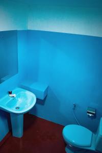 Relax Nature Villa في سيجيريا: حمام ازرق مع مرحاض ومغسلة