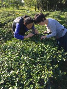 Os clientes hospedados em The LianFamily Teahouse B&B台東民宿001號