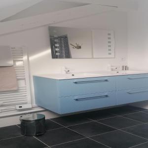 eine Küche mit einem blauen Schrank und einem Waschbecken in der Unterkunft Studio plein de charme - 2 in Orléans