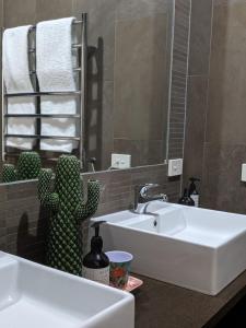ein Badezimmer mit einem Waschbecken und einem Kaktus im Spiegel in der Unterkunft The Old Federal Coffee Palace in Launceston