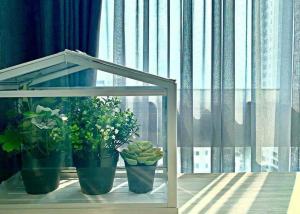 three potted plants sitting on a window sill at Veranda Residence Pattaya By Fon in Na Jomtien