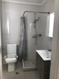 a bathroom with a toilet and a shower and a sink at Room in Apartment - Banos Apartments And Swimming Pool in Roda