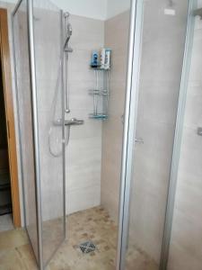 a shower with a glass door in a bathroom at Ruhe und Bequemlichkeit in Frauendorf