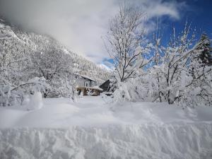 Ferienwohnungen Haus Almrausch mit Brötchenservice im Winter