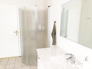 y baño con ducha, lavabo y espejo. en Kirkevængets mini Bed and Breakfast en Kruså