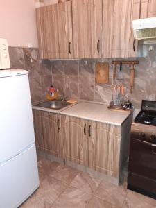 ノヴォシビルスクにあるApartments home hotelのキッチン(木製キャビネット、シンク、冷蔵庫付)