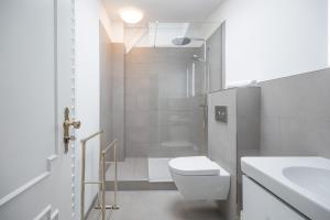 een badkamer met een douche, een toilet en een wastafel bij Altes Kontorhaus Backbord in Husum
