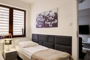 クリニツァ・ズドルイにあるApartament SŁOWIKのベッドルーム1室(黒いヘッドボード付きのベッド1台付)
