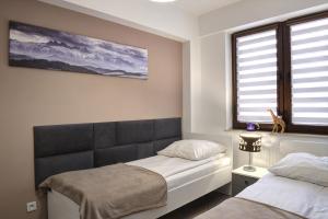 um quarto com 2 camas e uma janela em Apartament SŁOWIK em Krynica-Zdrój