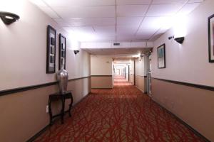 Fotografie z fotogalerie ubytování Ramada by Wyndham Davenport Orlando South v destinaci Davenport