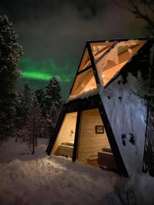 an igloo cabin with the northern lights in the sky at Trasti & Trine Boutique Hotel in Alta