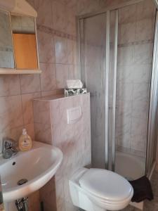 ein Bad mit einem WC, einem Waschbecken und einer Dusche in der Unterkunft Haus Panoramablick Familie Loos in Wasungen