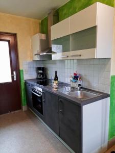 eine Küche mit einer Spüle und einer Arbeitsplatte in der Unterkunft Haus Panoramablick Familie Loos in Wasungen