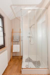y baño con ducha y puerta de cristal. en Landhotel Belitz Garni en Küsten
