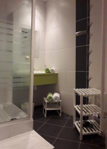 une salle de bain avec une douche en verre et un lavabo dans l'établissement Le Clos Marie, à Ciney 15 autres photos