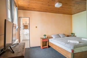 Postel nebo postele na pokoji v ubytování Hotel Plesivec