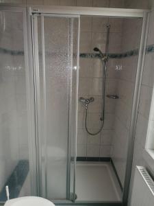a shower with a glass door in a bathroom at Villa Anna in Bad Gastein