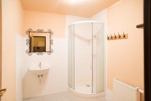 Ванная комната в Hotel Plesivec