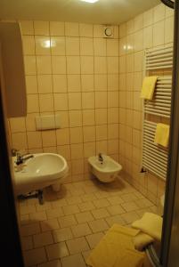 a bathroom with a sink and a toilet at Pension Adolfshaide in Wurzbach